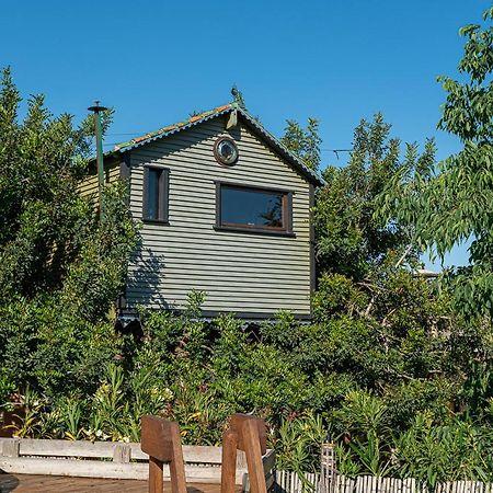 Casa Del Arbol - Tierra De Arte Villa San Jorge  Екстериор снимка