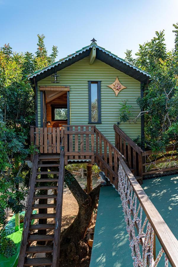Casa Del Arbol - Tierra De Arte Villa San Jorge  Екстериор снимка